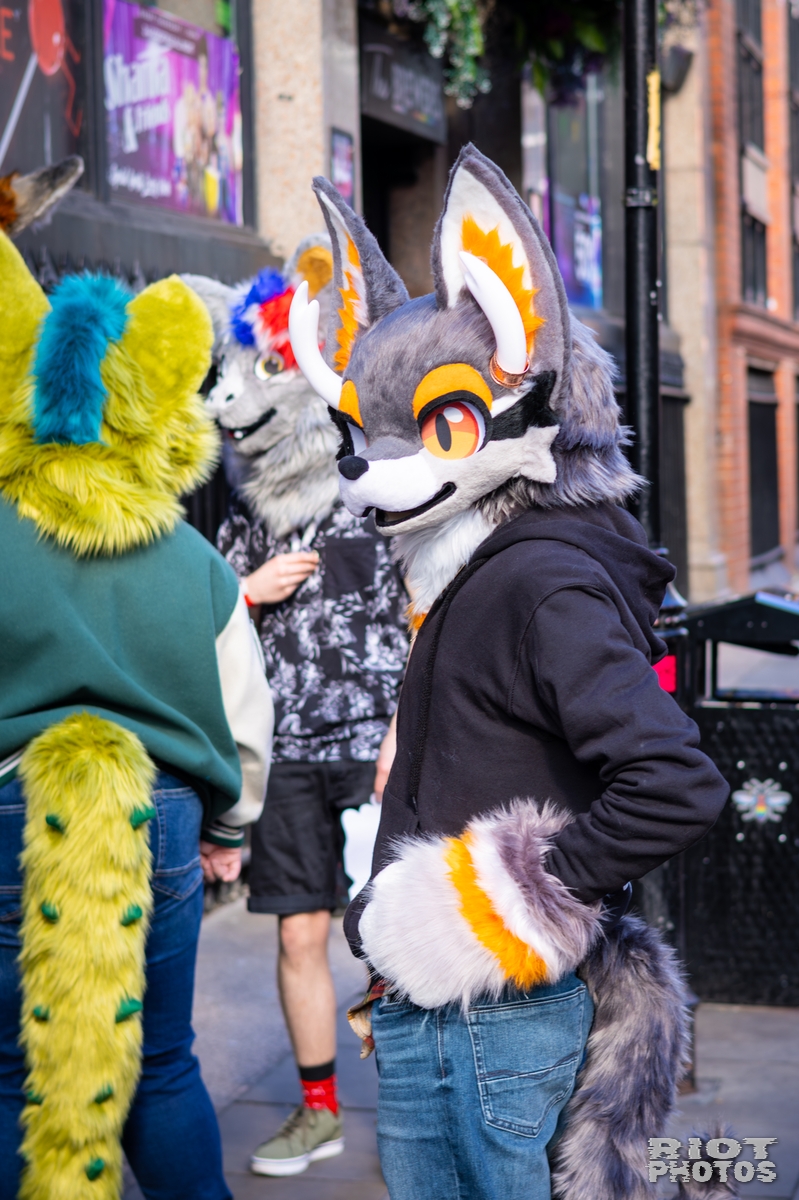 2026-03-14 MancFurs-202603-018.jpg