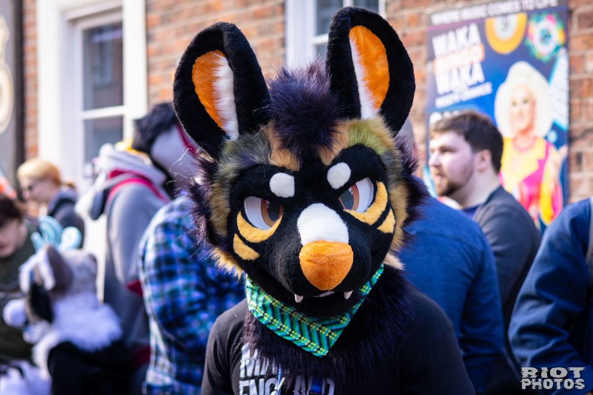 2026-03-14 MancFurs-202603-019.jpg
