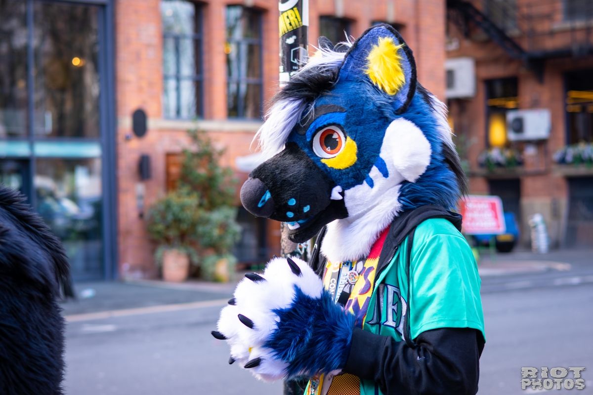 2026-03-14 MancFurs-202603-020.jpg