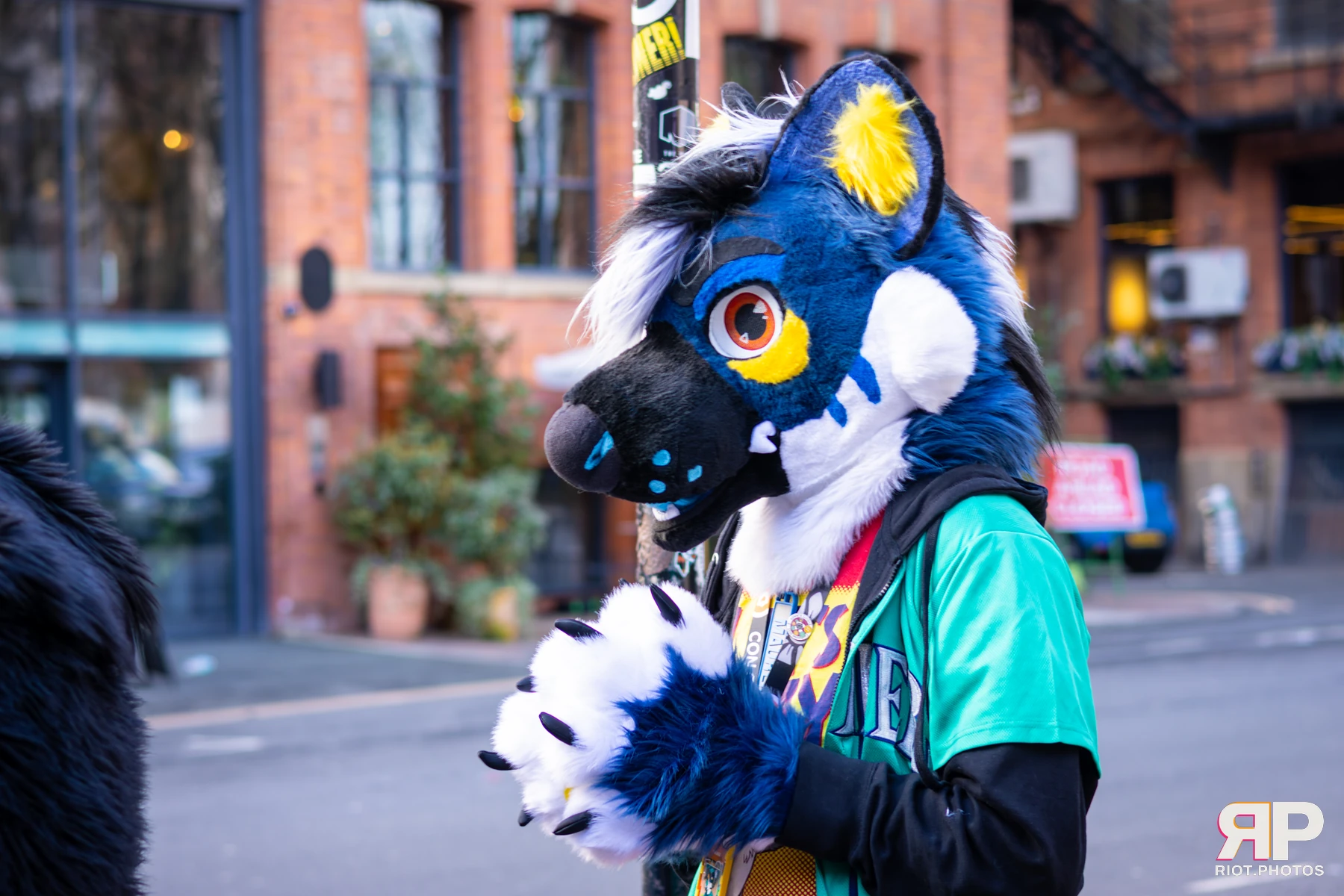 MancFurs - March, 2026 — 14 Mar 2026, Fluffy Riot photography — photo 20