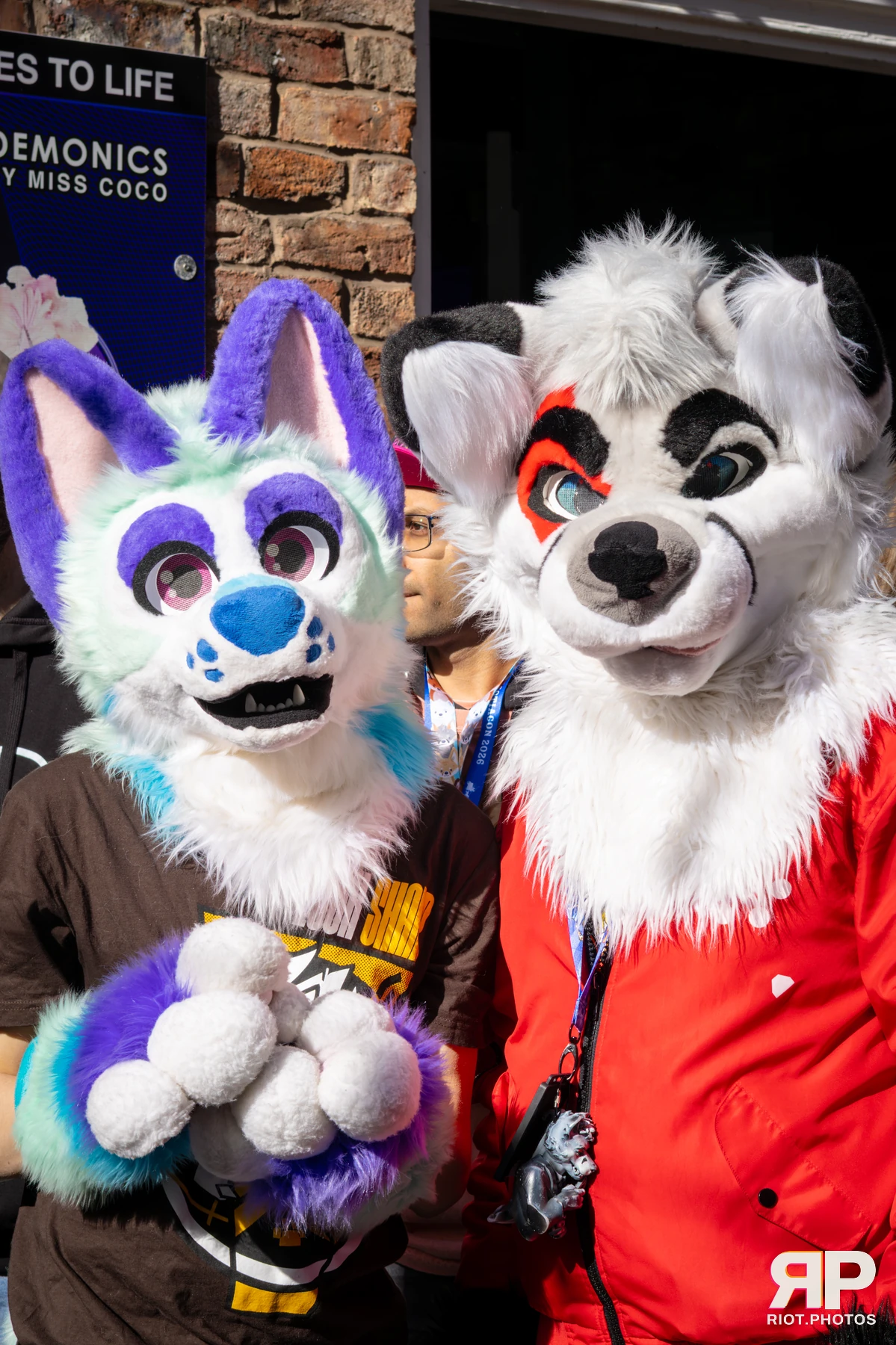 MancFurs - March, 2026 — 14 Mar 2026, Fluffy Riot photography — photo 22