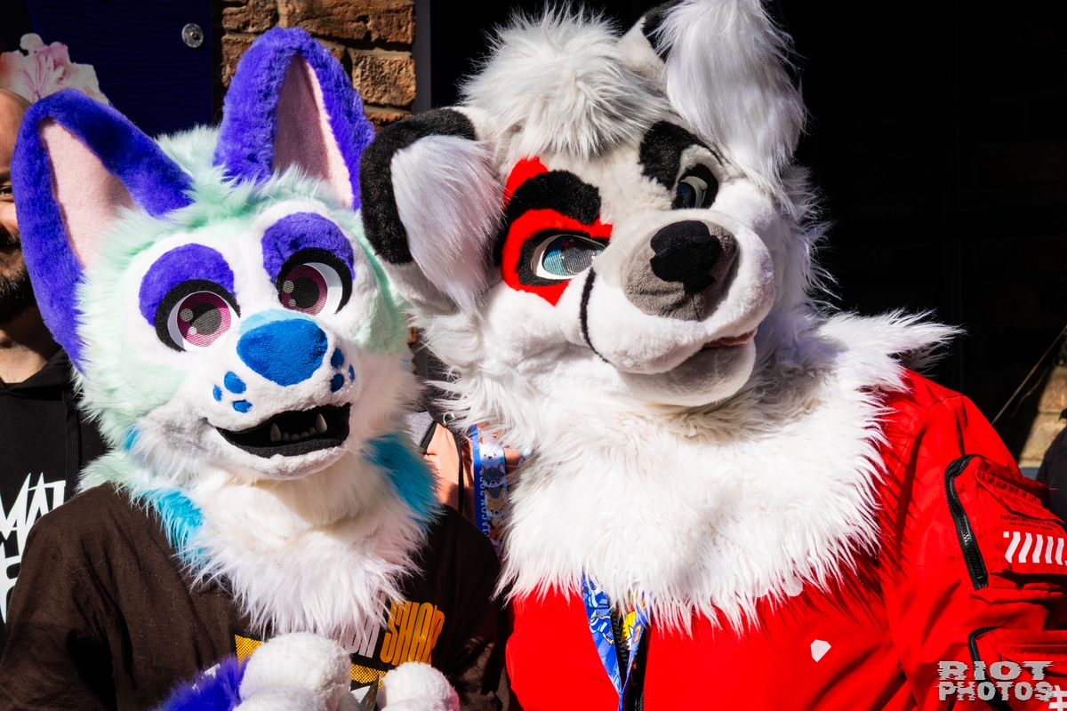 2026-03-14 MancFurs-202603-023.jpg