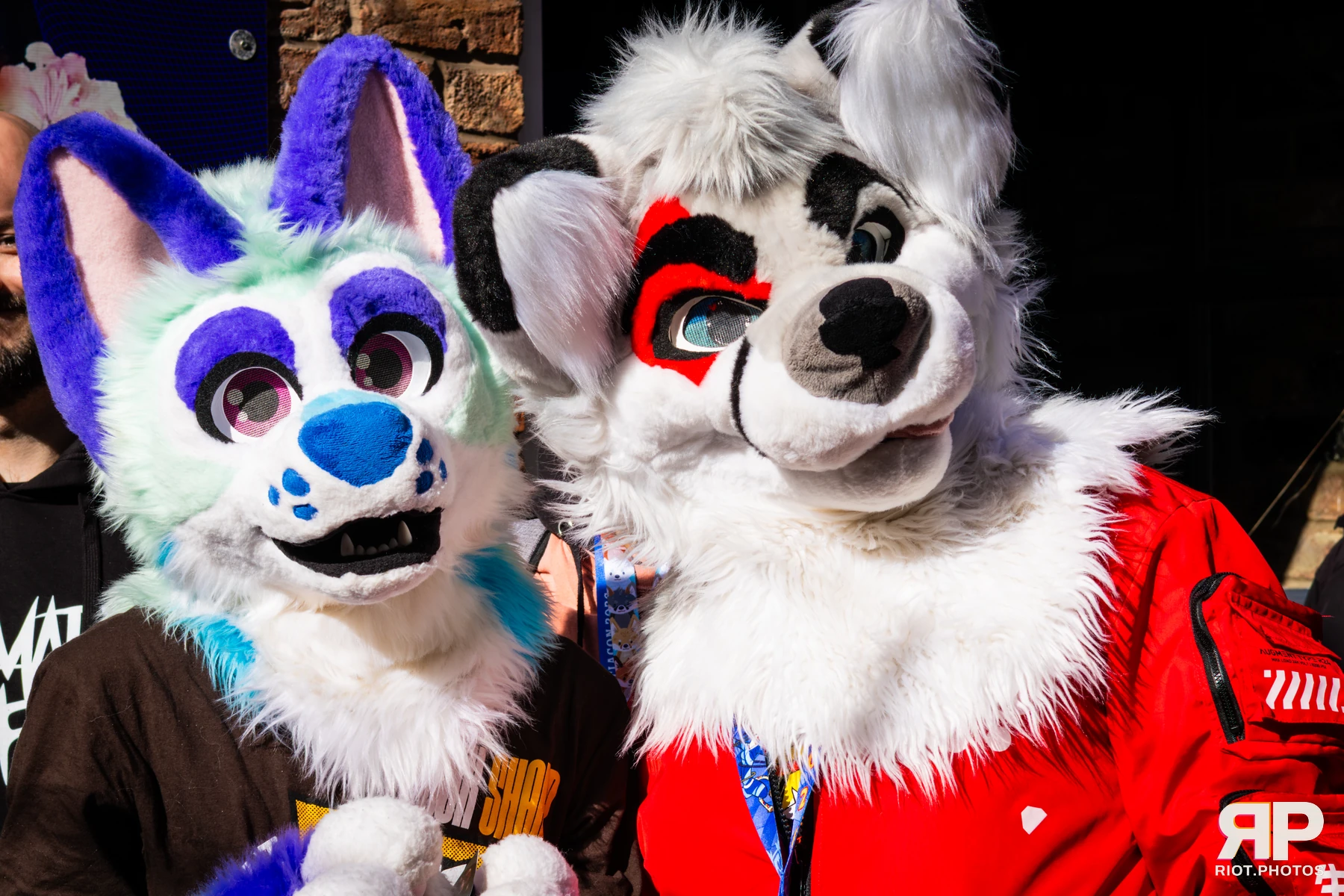 MancFurs - March, 2026