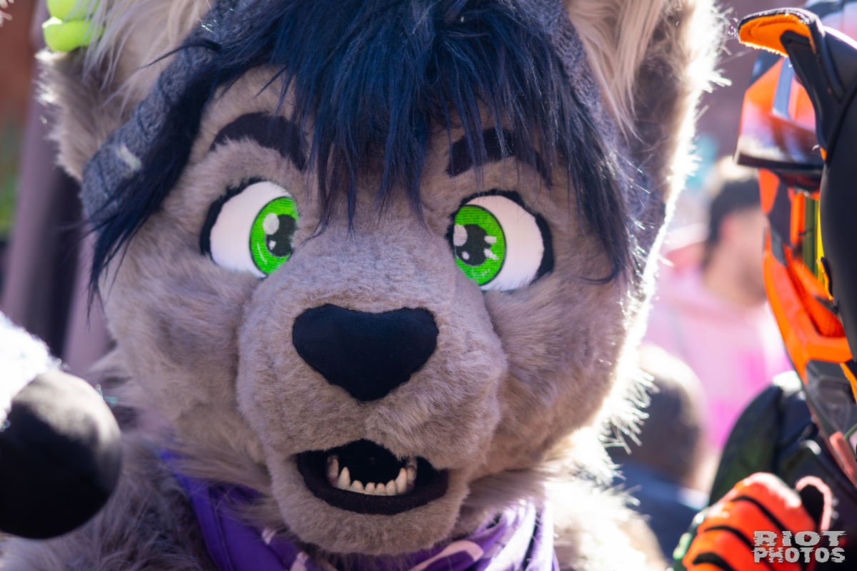 2026-03-14 MancFurs-202603-024.jpg