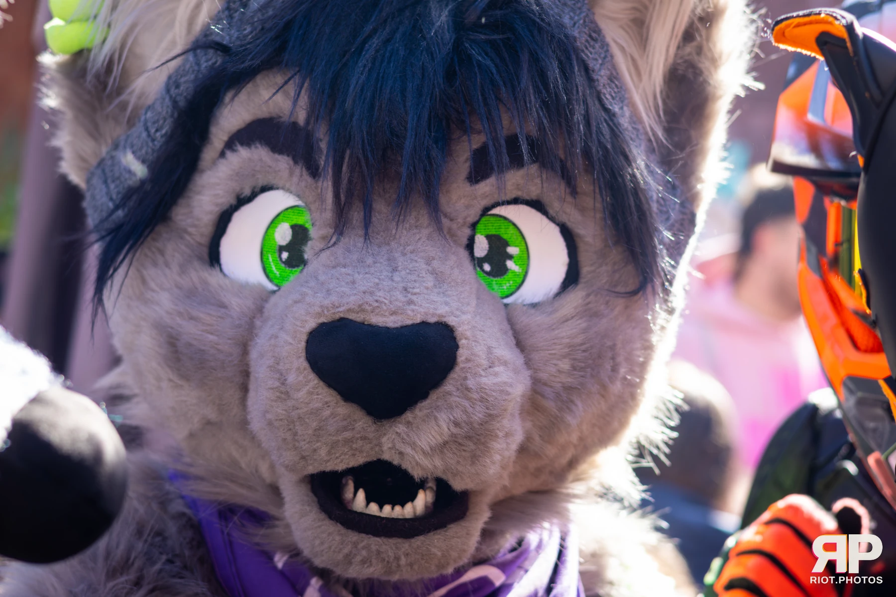 MancFurs - March, 2026 — 14 Mar 2026, Fluffy Riot photography — photo 24