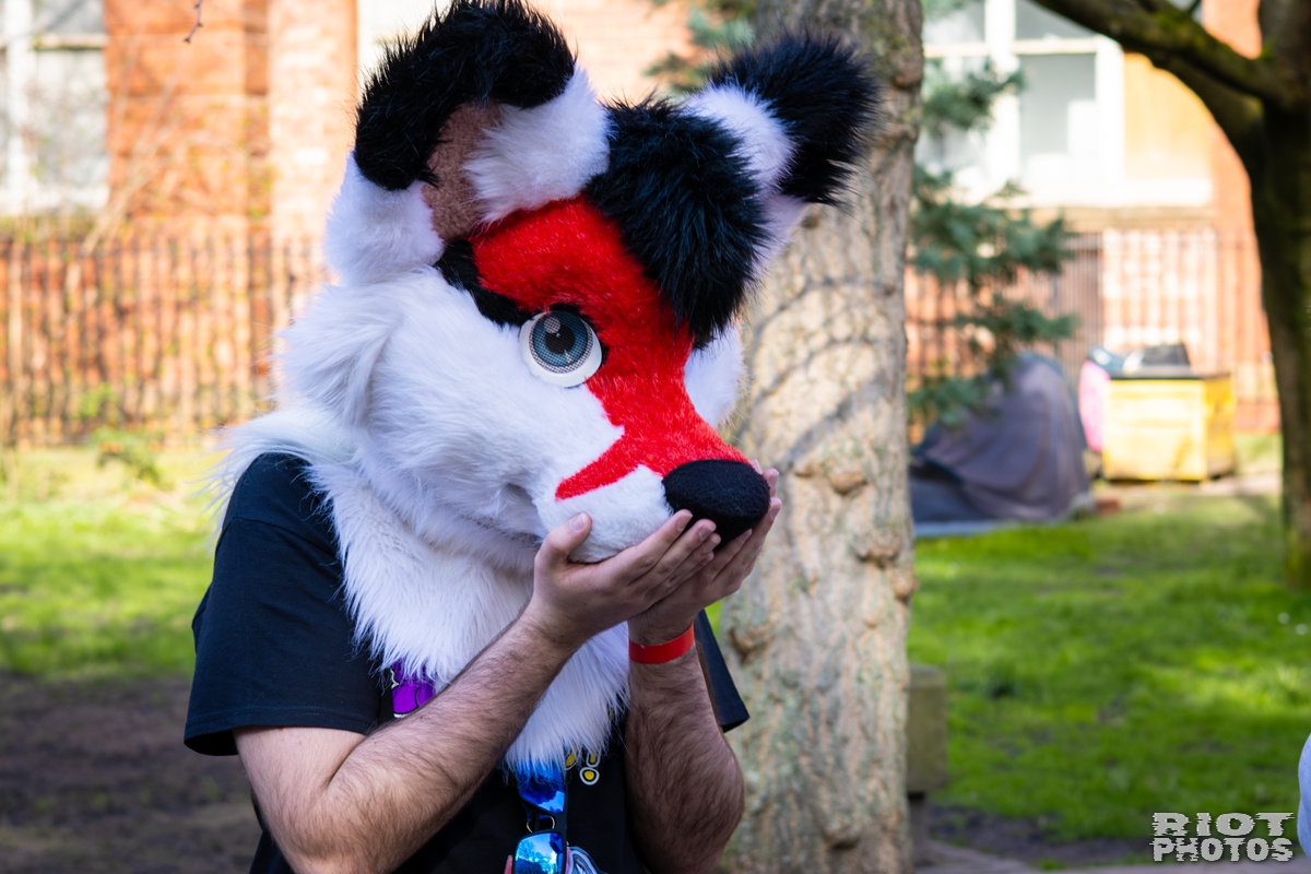 2026-03-14 MancFurs-202603-025.jpg