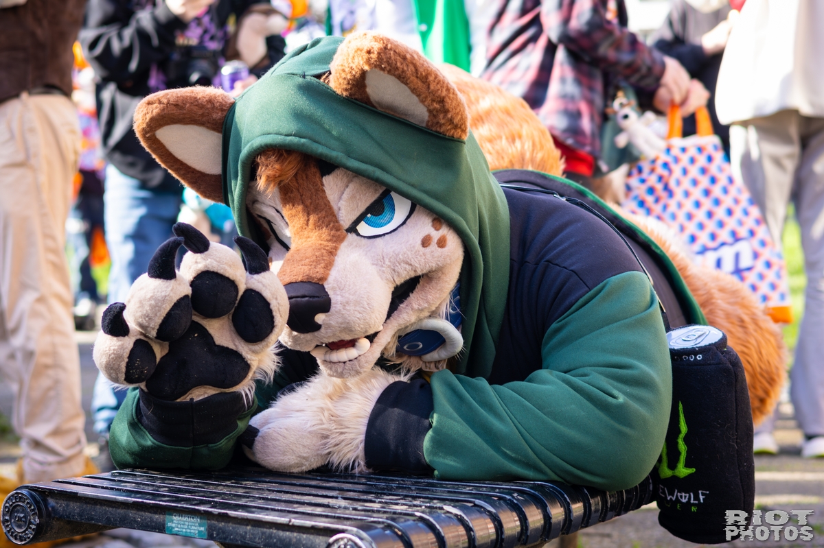 2026-03-14 MancFurs-202603-027.jpg