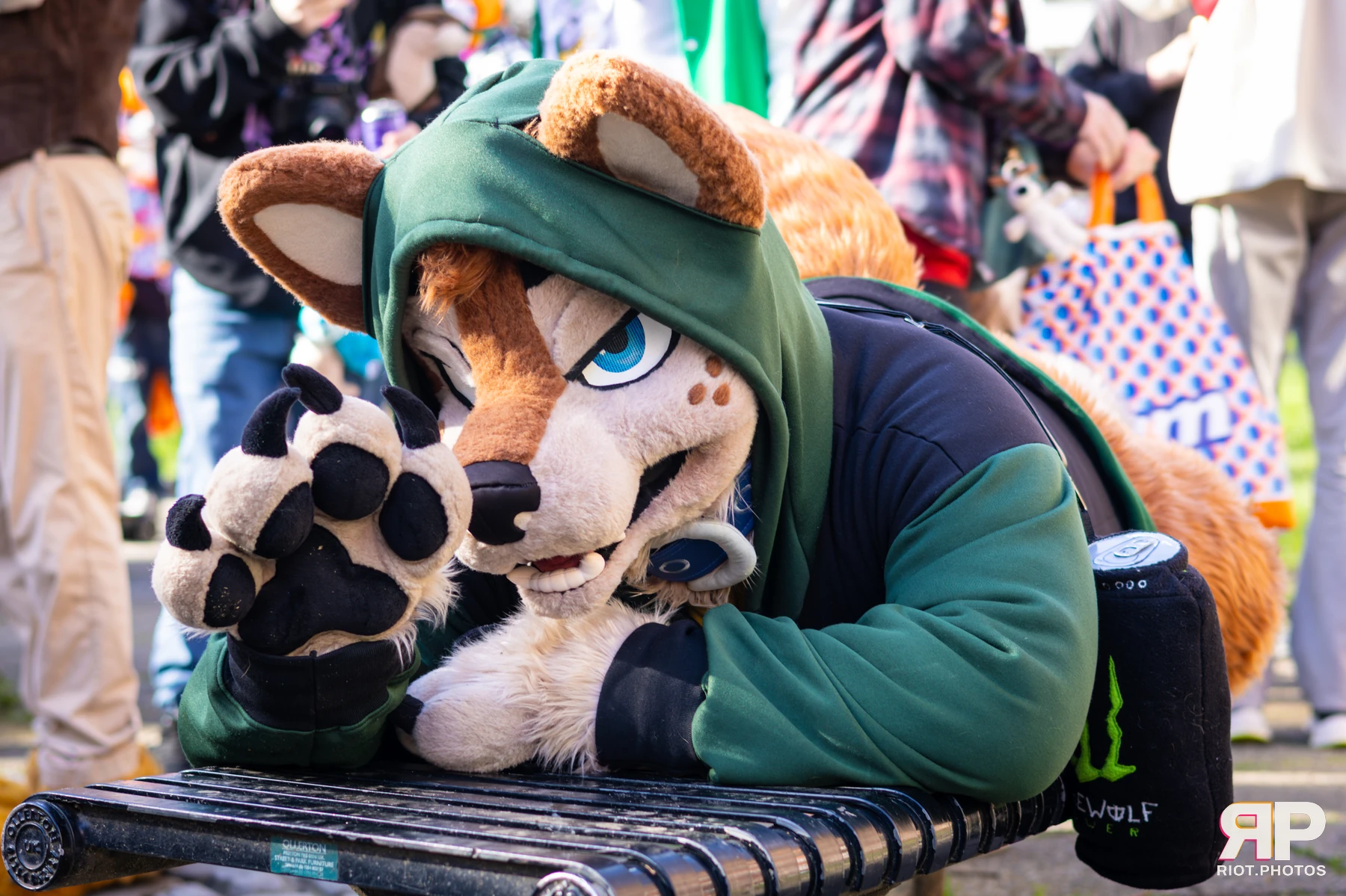 MancFurs - March, 2026 — 14 Mar 2026, Fluffy Riot photography — photo 27