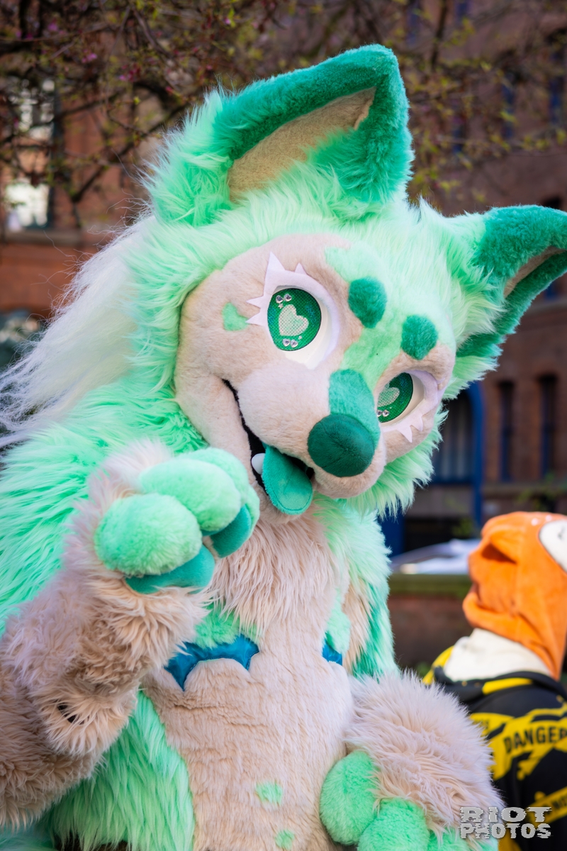 2026-03-14 MancFurs-202603-029.jpg
