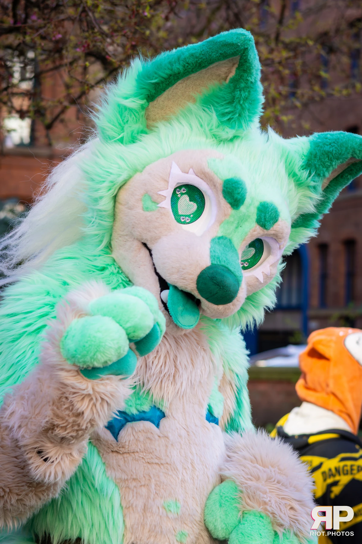 MancFurs - March, 2026 — 14 Mar 2026, Fluffy Riot photography — photo 29