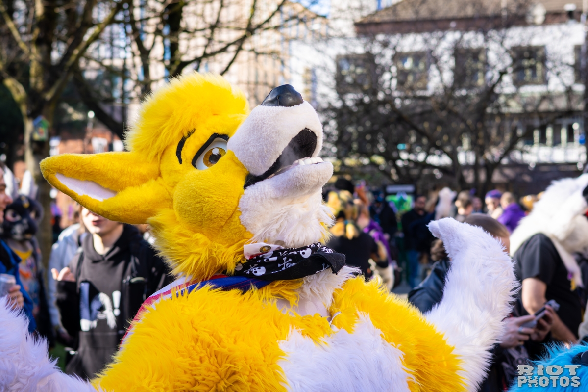 2026-03-14 MancFurs-202603-030.jpg
