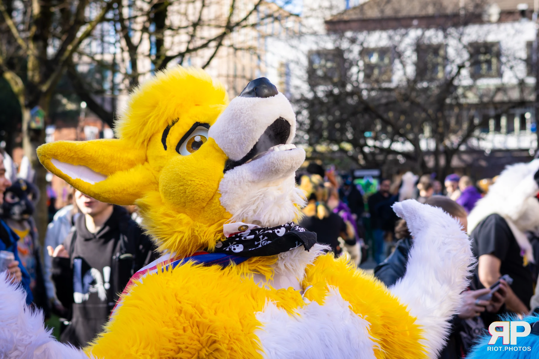 MancFurs - March, 2026 — 14 Mar 2026, Fluffy Riot photography — photo 30