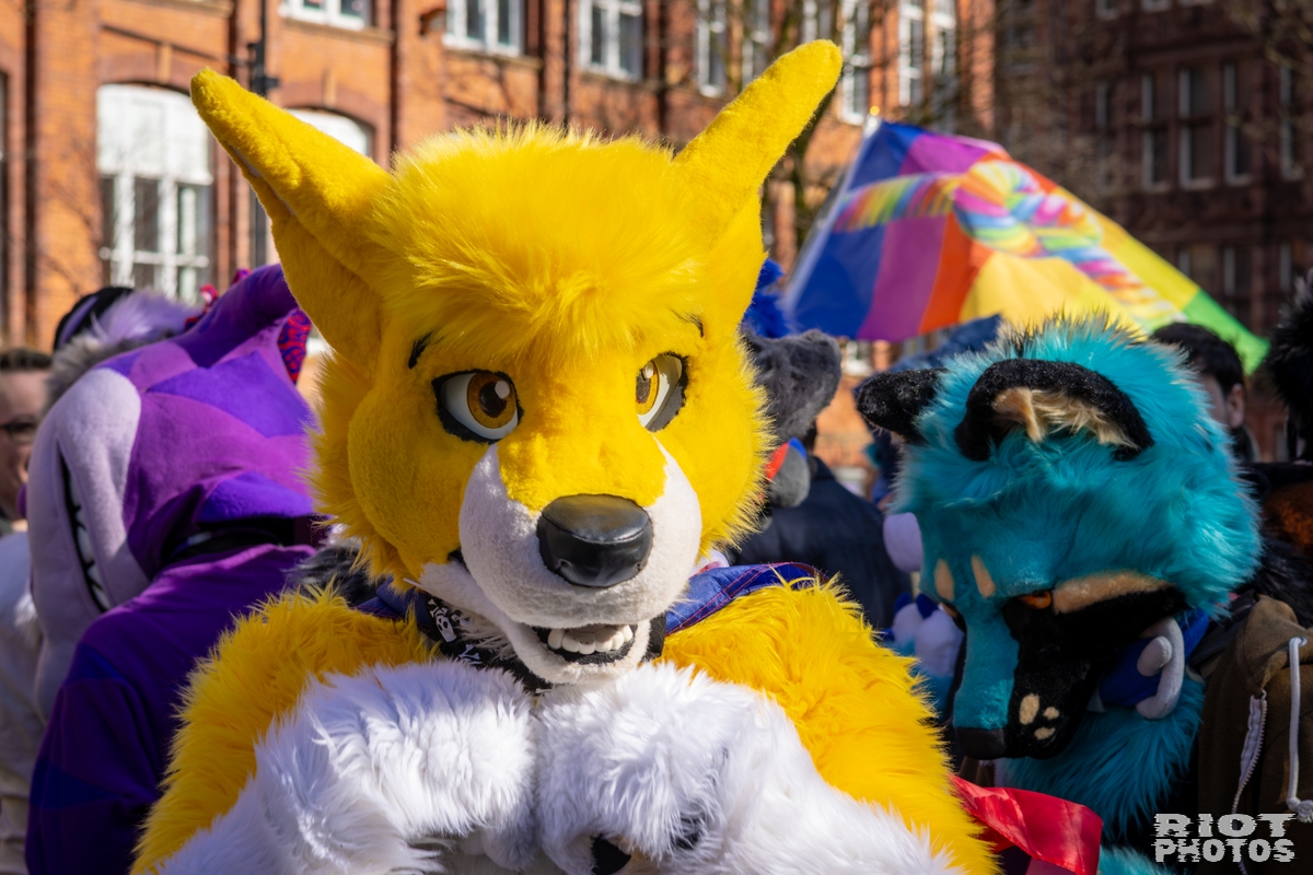 2026-03-14 MancFurs-202603-032.jpg