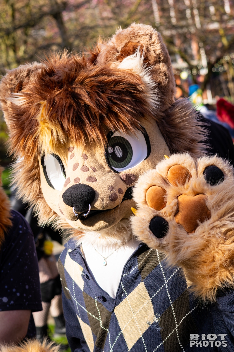 2026-03-14 MancFurs-202603-033.jpg