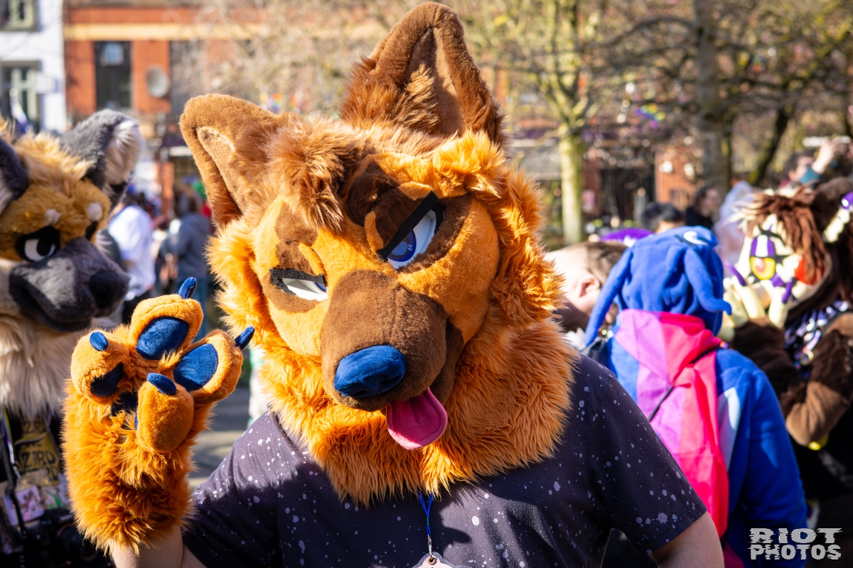 2026-03-14 MancFurs-202603-034.jpg