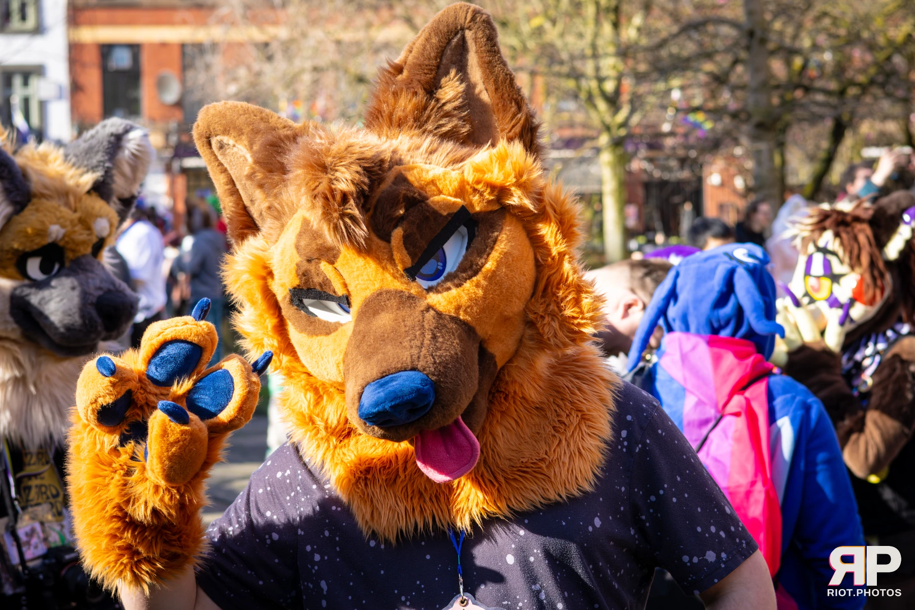 MancFurs - March, 2026 — 14 Mar 2026, Fluffy Riot photography — photo 34