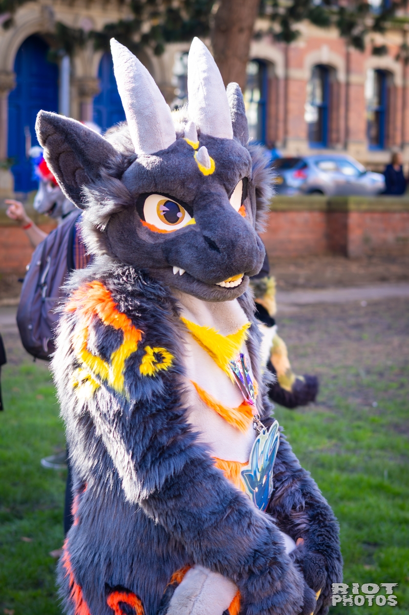 2026-03-14 MancFurs-202603-035.jpg