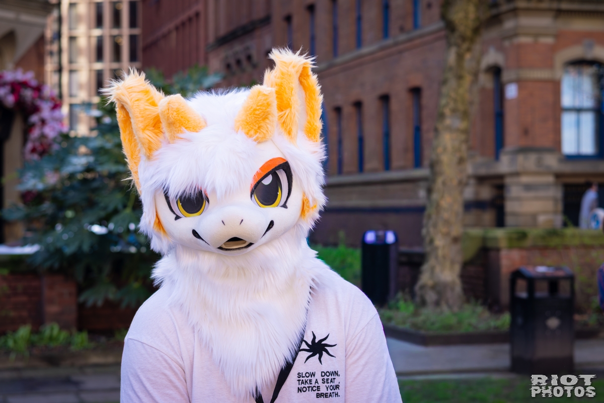 2026-03-14 MancFurs-202603-036.jpg
