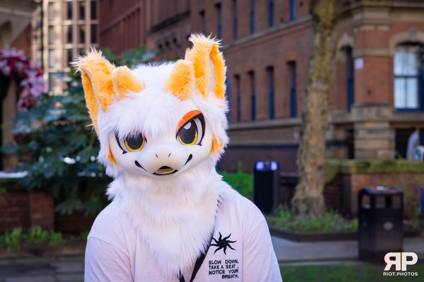 MancFurs - March, 2026 — 14 Mar 2026, Fluffy Riot photography — photo 36