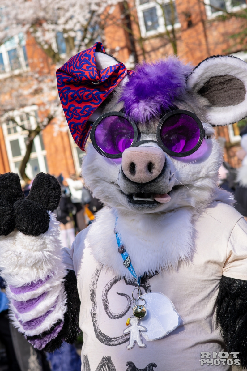 2026-03-14 MancFurs-202603-037.jpg