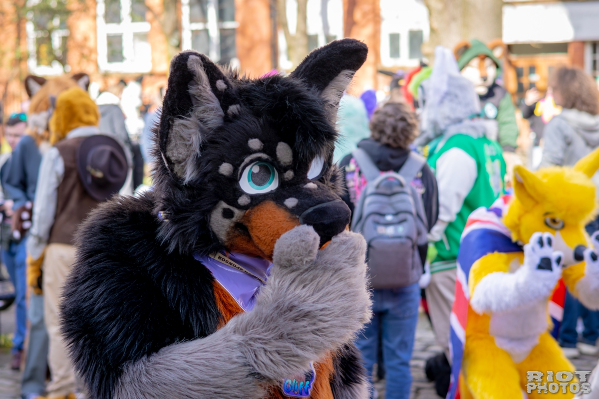 2026-03-14 MancFurs-202603-038.jpg