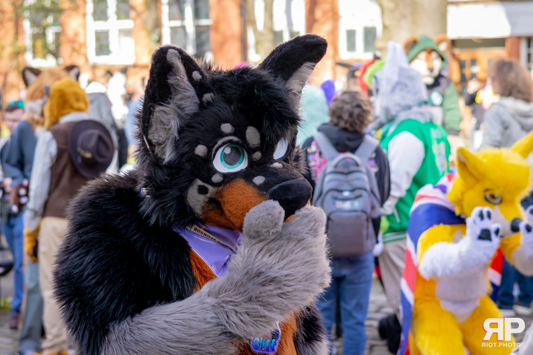 MancFurs - March, 2026 — 14 Mar 2026, Fluffy Riot photography — photo 38