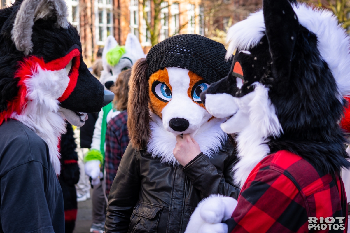 2026-03-14 MancFurs-202603-040.jpg
