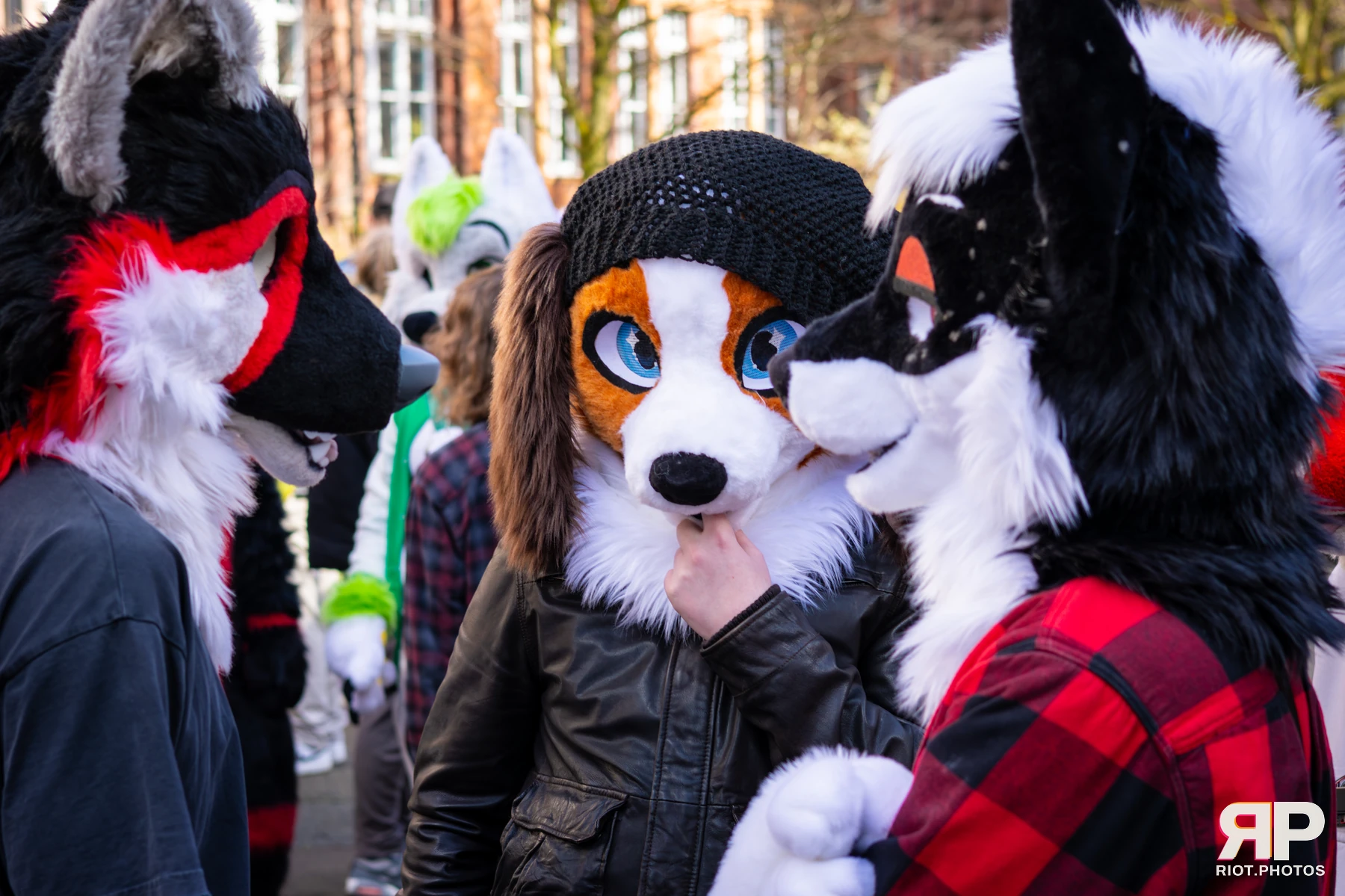 MancFurs - March, 2026 — 14 Mar 2026, Fluffy Riot photography — photo 40