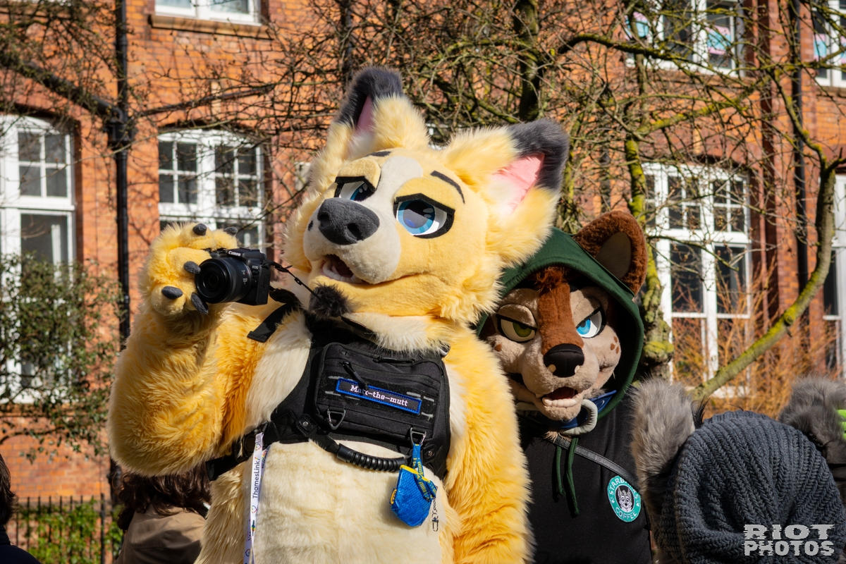 2026-03-14 MancFurs-202603-041.jpg