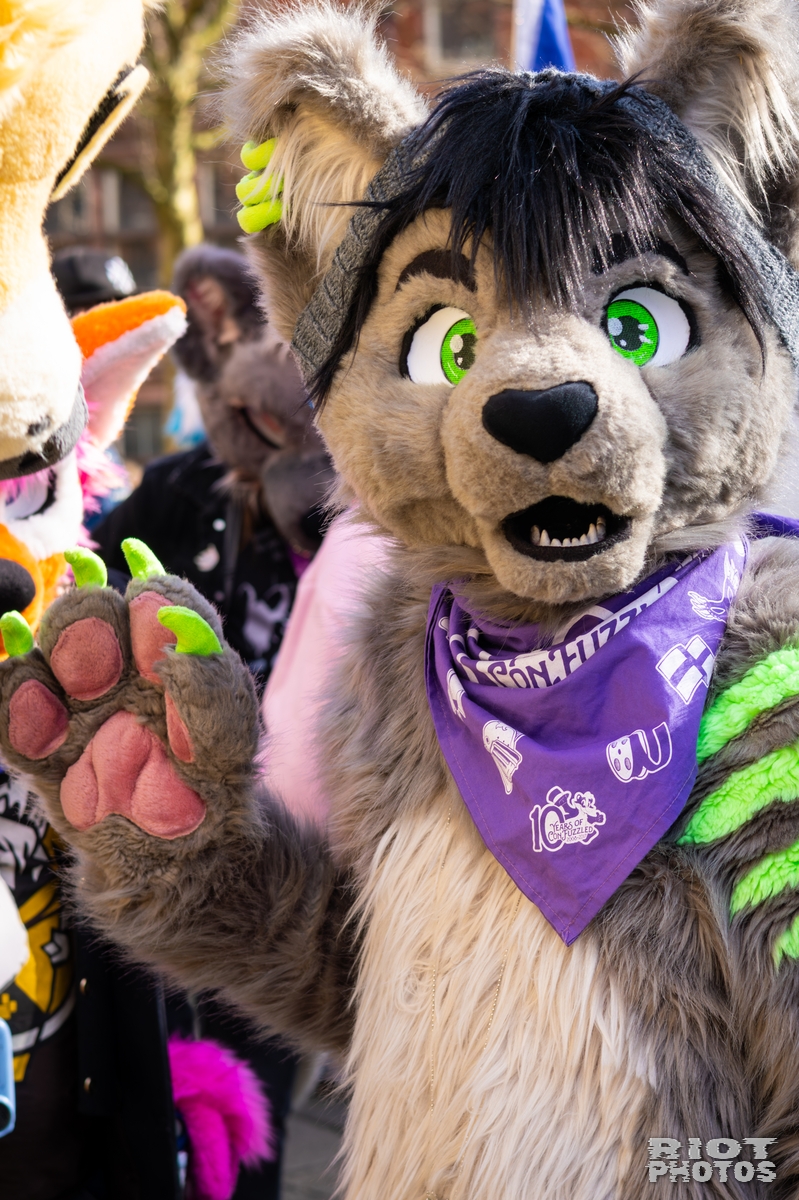 2026-03-14 MancFurs-202603-042.jpg