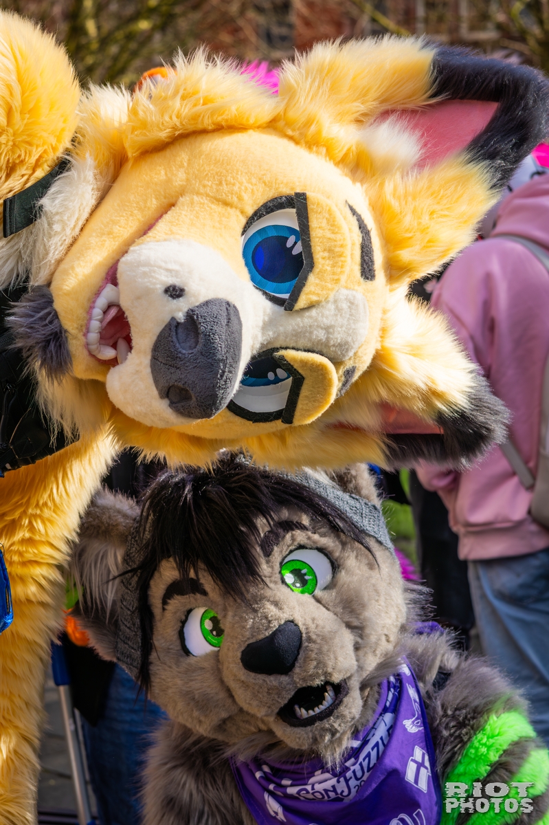 2026-03-14 MancFurs-202603-043.jpg