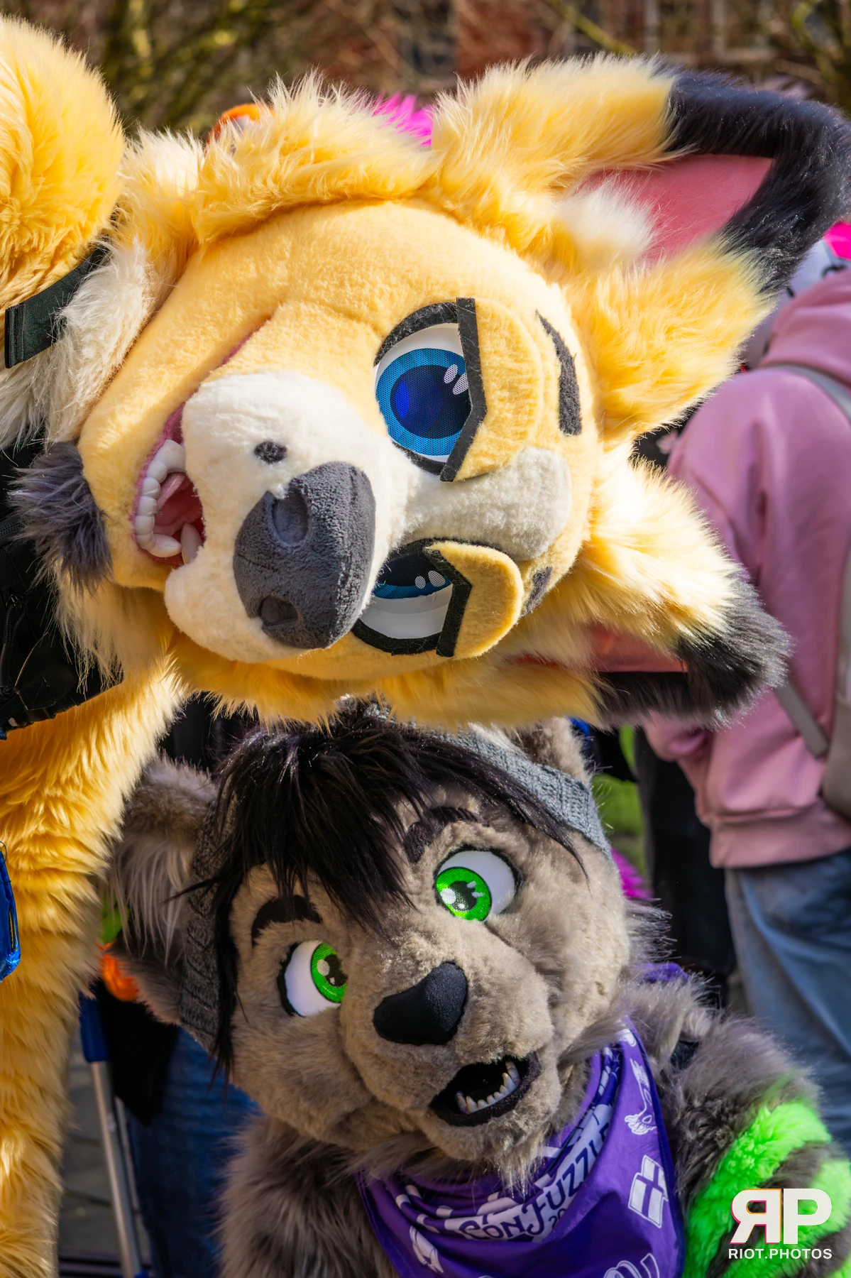 MancFurs - March, 2026 — 14 Mar 2026, Fluffy Riot photography — photo 43