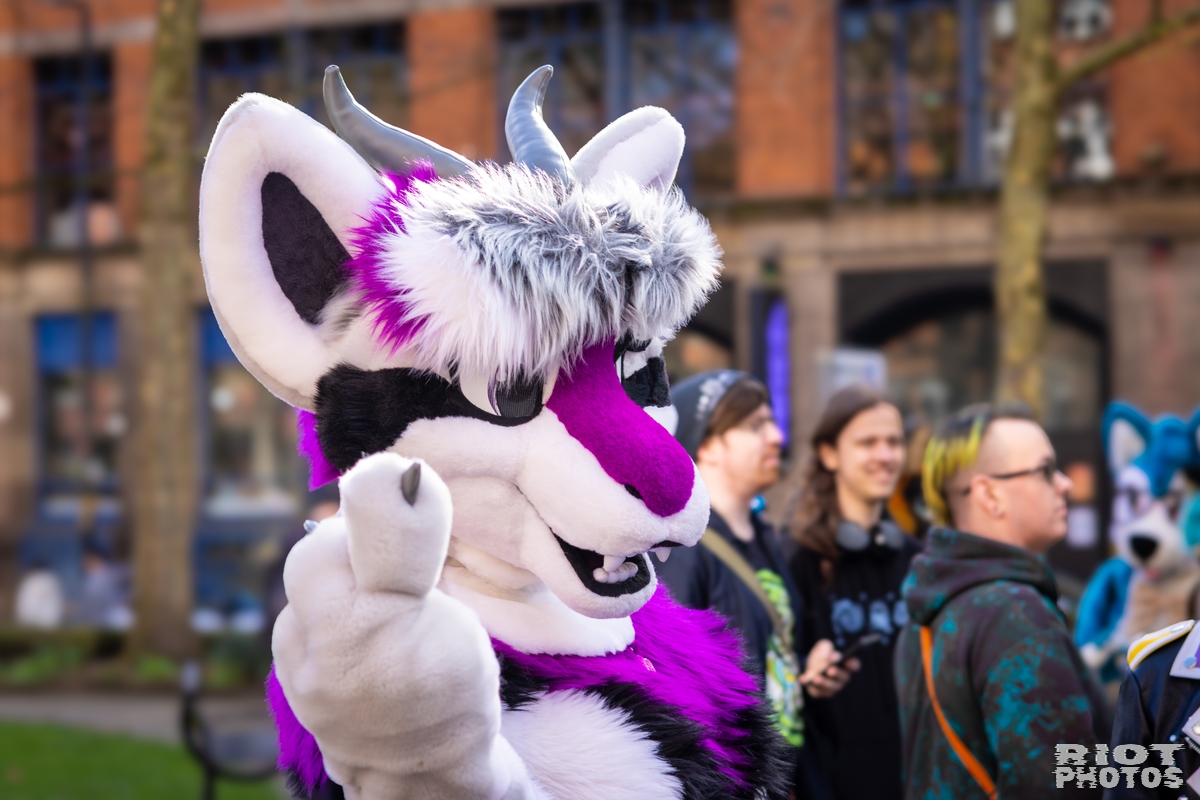 2026-03-14 MancFurs-202603-044.jpg