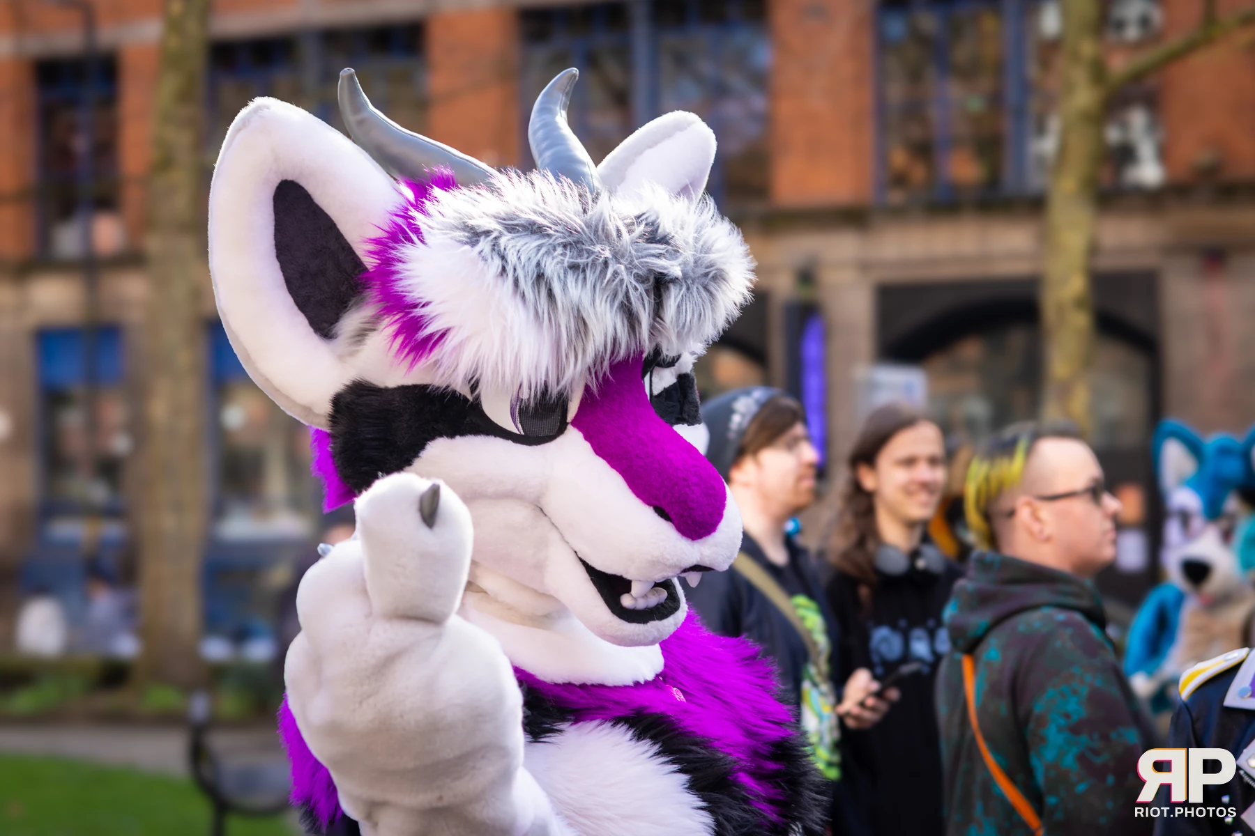 MancFurs - March, 2026 — 14 Mar 2026, Fluffy Riot photography — photo 44
