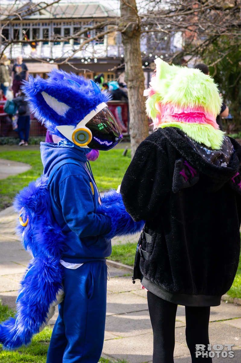 2026-03-14 MancFurs-202603-045.jpg