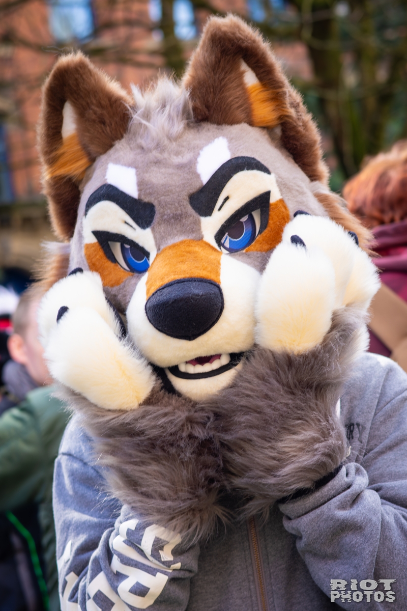 2026-03-14 MancFurs-202603-046.jpg