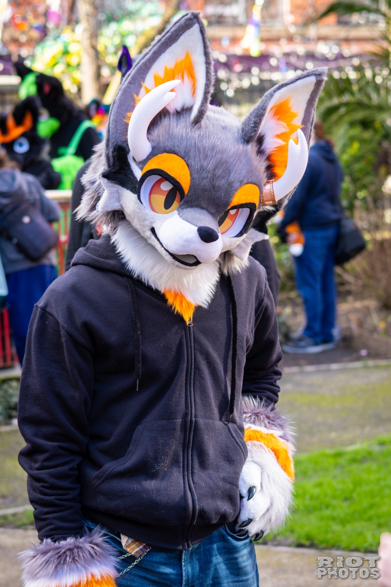 2026-03-14 MancFurs-202603-048.jpg