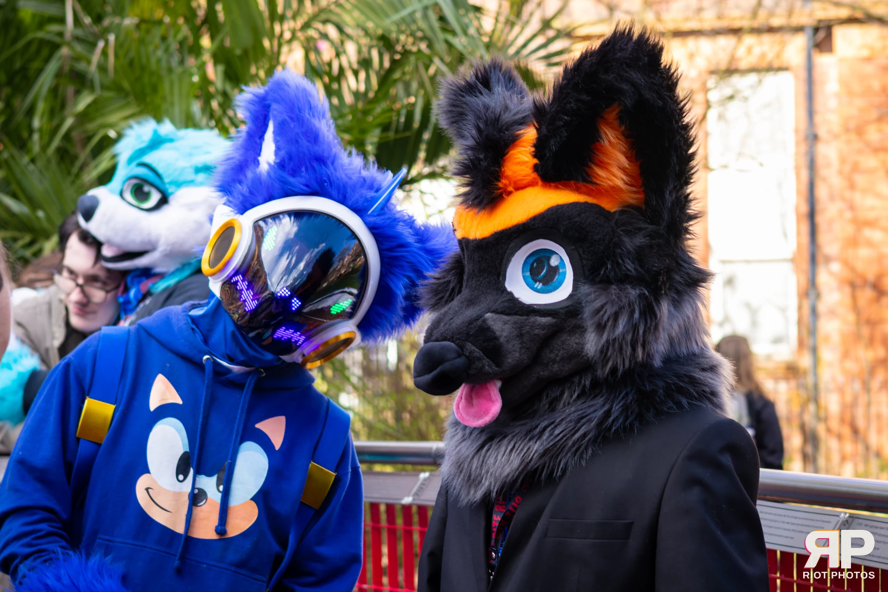 MancFurs - March, 2026 — 14 Mar 2026, Fluffy Riot photography — photo 49