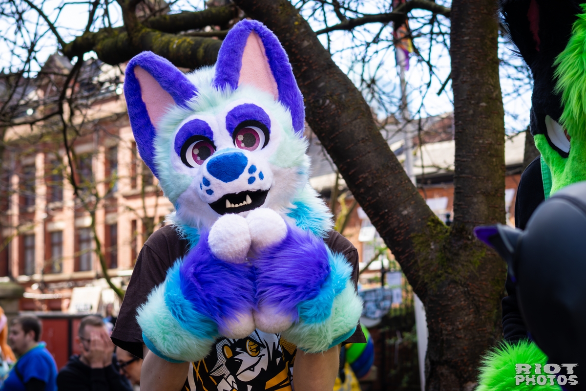 2026-03-14 MancFurs-202603-050.jpg