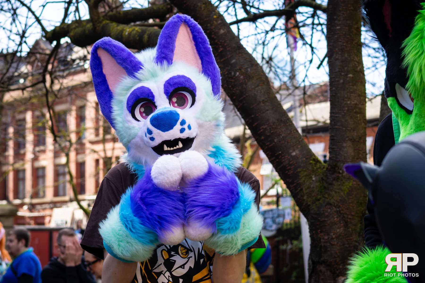 MancFurs - March, 2026 — 14 Mar 2026, Fluffy Riot photography — photo 50