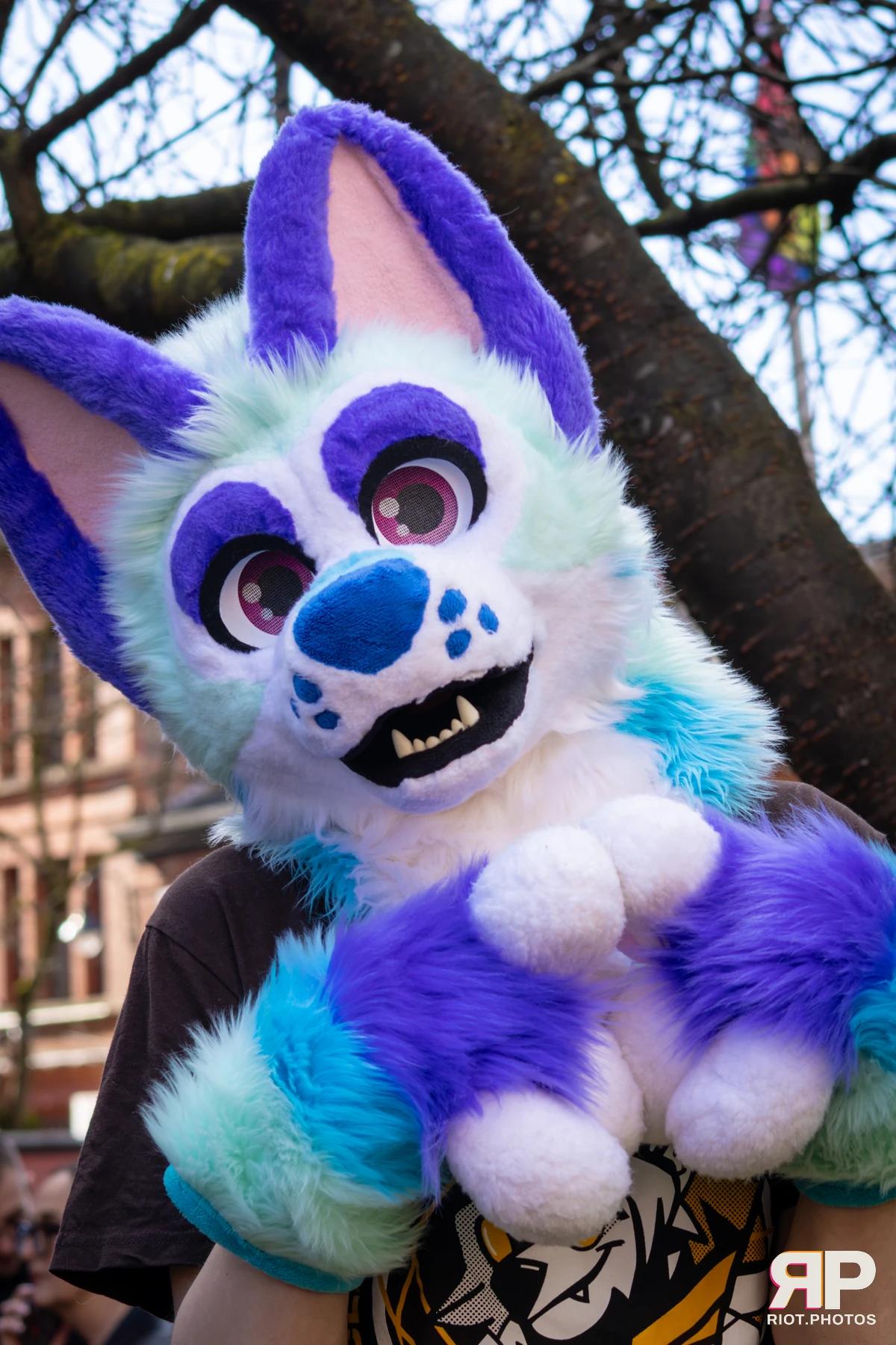 MancFurs - March, 2026 — 14 Mar 2026, Fluffy Riot photography — photo 51