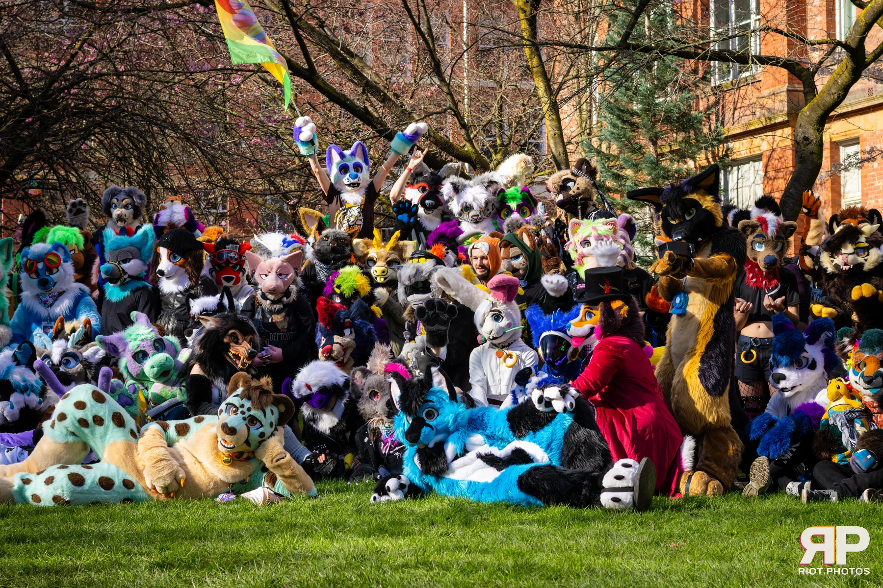 MancFurs - March, 2026 — 14 Mar 2026, Fluffy Riot photography — photo 56