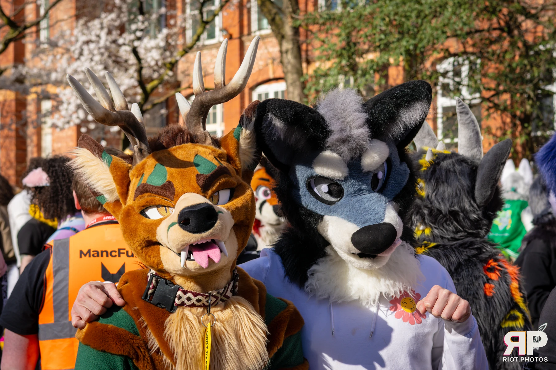 Pup Nathan — furry & pup photography by Fluffy Riot — photo 10