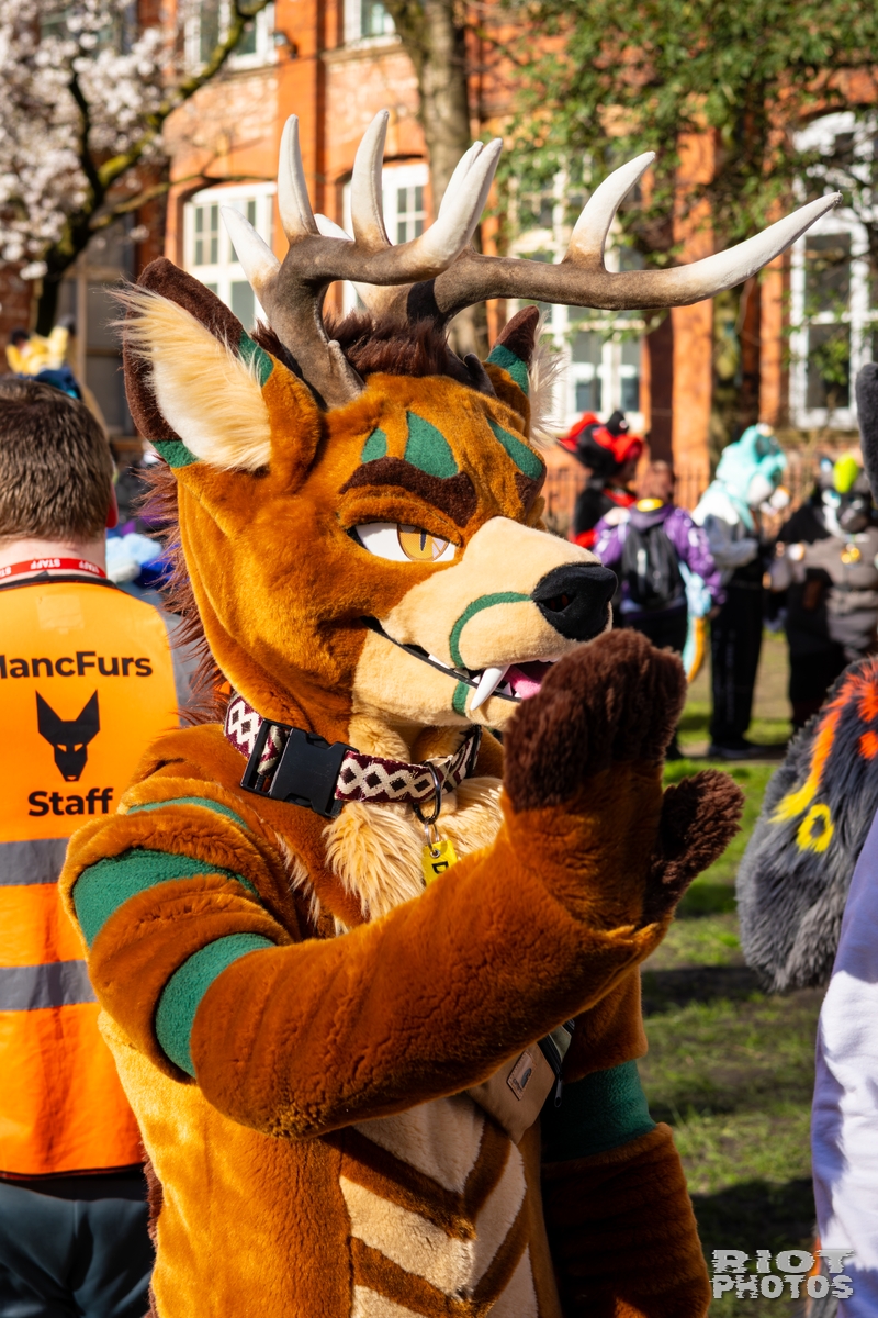 2026-03-14 MancFurs-202603-058.jpg