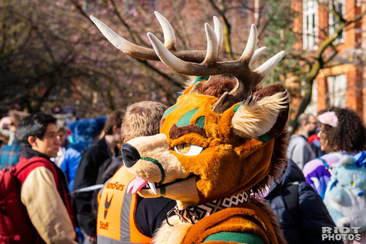 2026-03-14 MancFurs-202603-059.jpg
