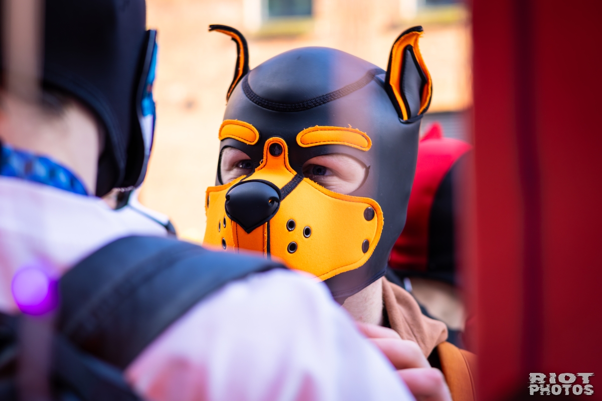 2026-03-14 MancFurs-202603-063.jpg