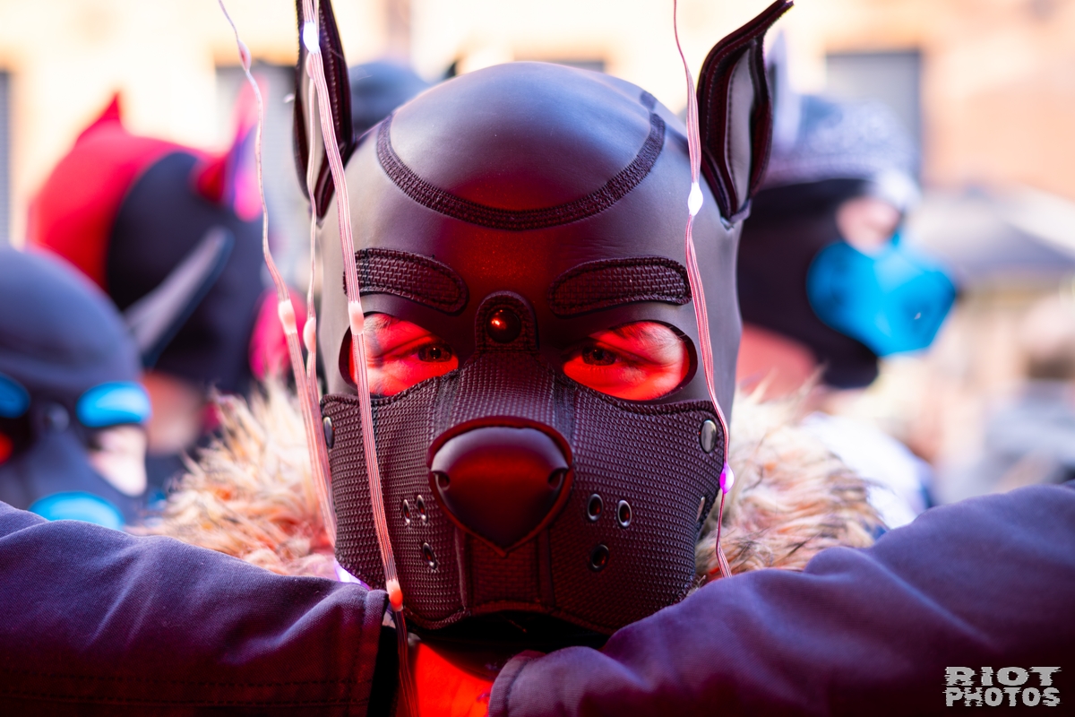 2026-03-14 MancFurs-202603-064.jpg