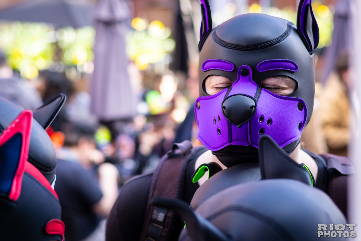 2026-03-14 MancFurs-202603-067.jpg