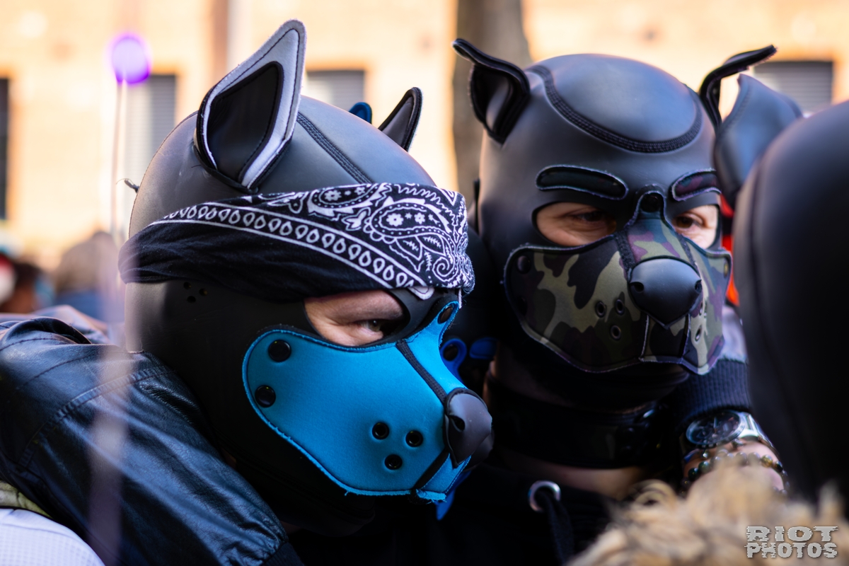 2026-03-14 MancFurs-202603-068.jpg