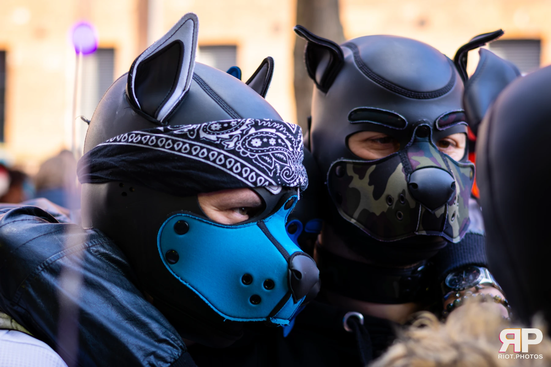MancFurs - March, 2026 — 14 Mar 2026, Fluffy Riot photography — photo 68